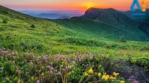 حیوانات بلغارستان